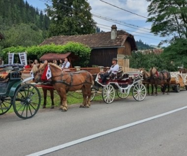 Koń kopnął 14-latka. O krok od tragedii podczas orszaku weselnego