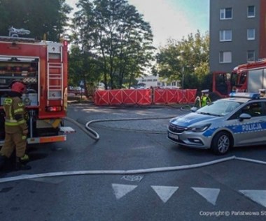 73-latek spłonął w aucie elektrycznym. “Wzywał pomocy przez okno”