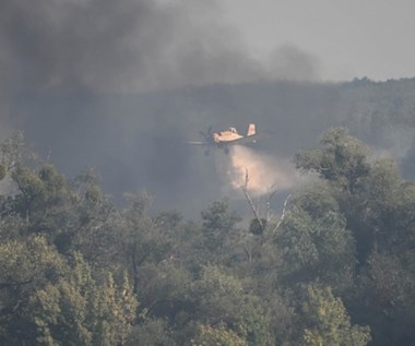 Trzcinowisko na Międzyodrzu pod Szczecinem znów płonie