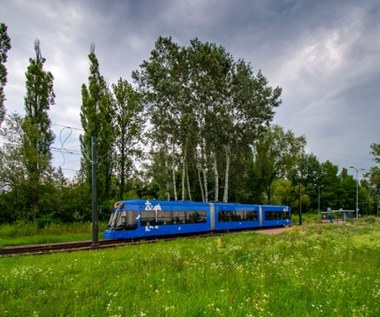 Skok na miedź. Ukradli kable trakcji, nie kursowały tramwaje