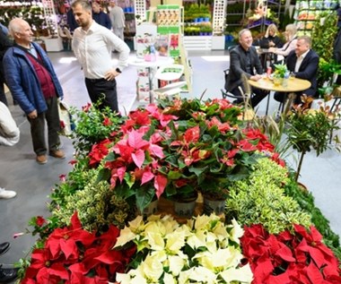 “Zielona przyszłość”. Poznańskie targi Gardenia potrwają do piątku