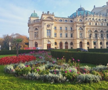 Dalie, kanny, begonie z plant szukają miejsca do przezimowania