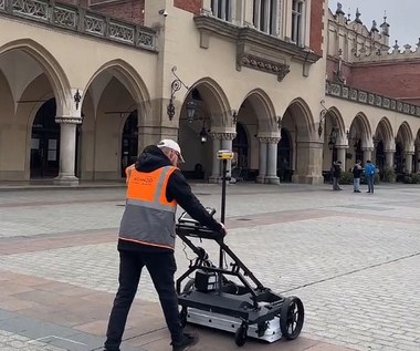 Krakowski Rynek zyska nową zieleń? Eksperci szukają odpowiednich miejsc