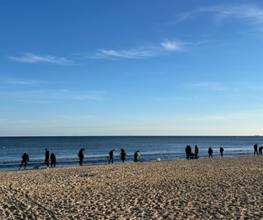 Wysyp bursztynu przez poszerzanie plaży w Sopocie. Jakie są zasady zbierania?