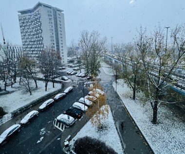 Biało w stolicy. W Warszawie spadł pierwszy śnieg