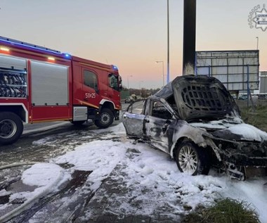 Makabryczny wypadek na Śląsku. Spłonął kierowca