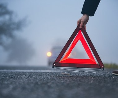 ​Tragedia w Wielkopolsce. Matiz uderzył w drzewo, pasażerka zginęła