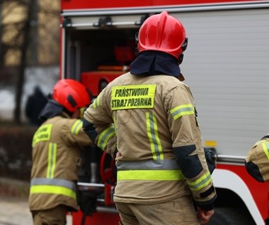 Osuwisko na Śląsku. Na miejscu pracowała grupa poszukiwacza z psami