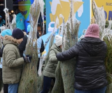 “Choinki pod choinkę od RMF FM i Małopolski”. Dziś finał akcji w Krakowie