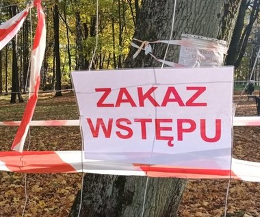 Ziemia zapadła się w Bolesławiu