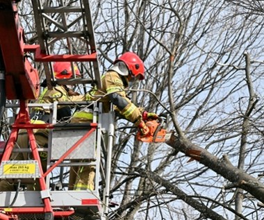 Uwaga na wichury. Coraz więcej interwencji strażaków na Pomorzu