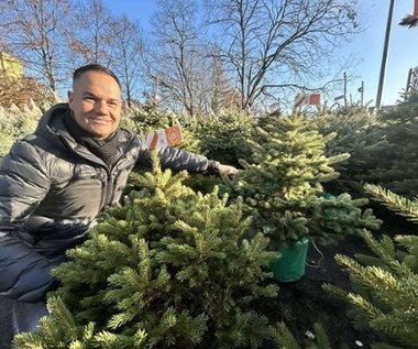 Jak wybrać choinkę? Mamy porady wprost z największej plantacji w Polsce!