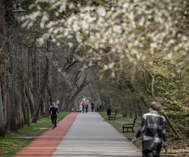 Zabójstwo w parku na Zdrowiu w Łodzi. Umorzono śledztwo, sprawca wciąż nieznany