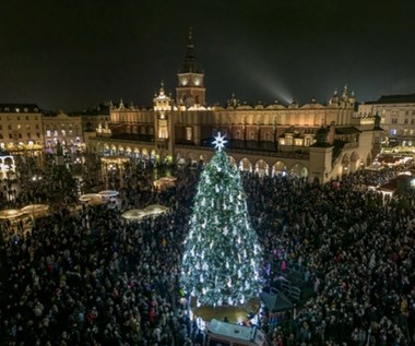 Choinka z krakowskiego rynku uznana za najpiękniejszą na świecie