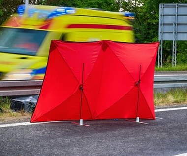 Tragiczny wypadek w Pomorskiem. Auto uderzyło w drzewo, 2 osoby nie żyją