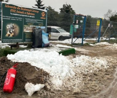 Nocny pożar w schronisku. “Ratowaliśmy co się dało”