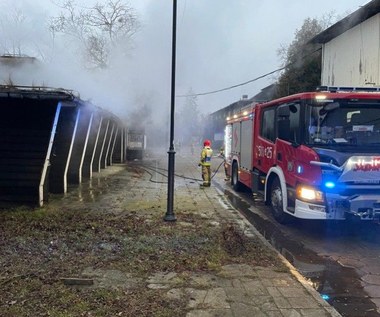 Pożar na terenie Hipodromu w Sopocie