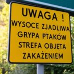 Ognisko wysoce zjadliwej grypy ptaków w Małopolsce